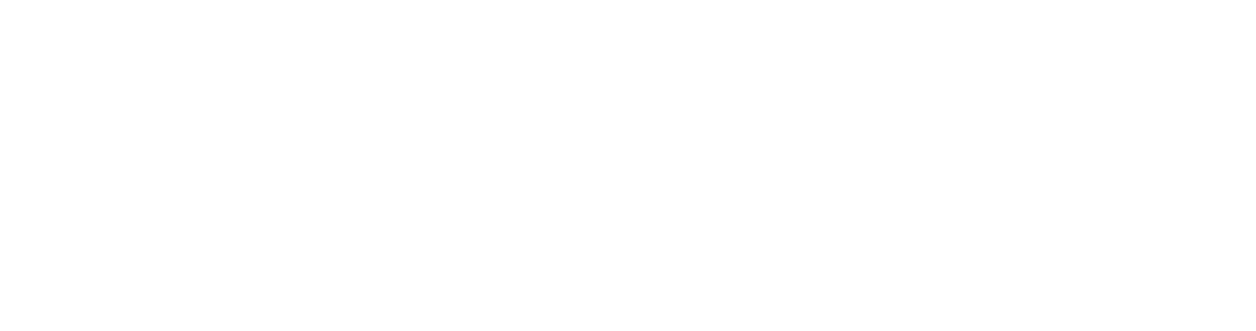 logo icon